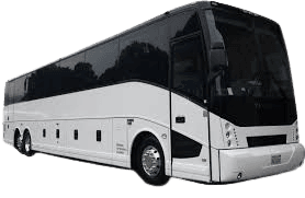 Milestone Celebration Bus